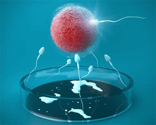 
              卵巢早衰导致的排卵障碍症状表现有哪些？
            